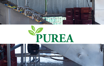 Purea
